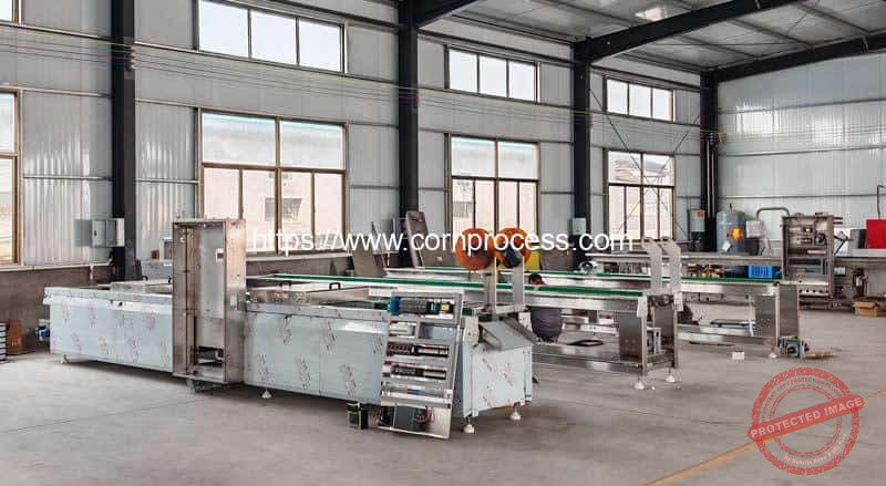 Automatic-Sweet-Corn-Cob-Thermoforming-Vacuum-Packing-Machine-for-Sale